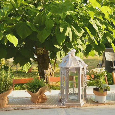 Bed and Breakfast Bed & Tours Dimora Di Campagna Castelnuovo Belbo Экстерьер фото