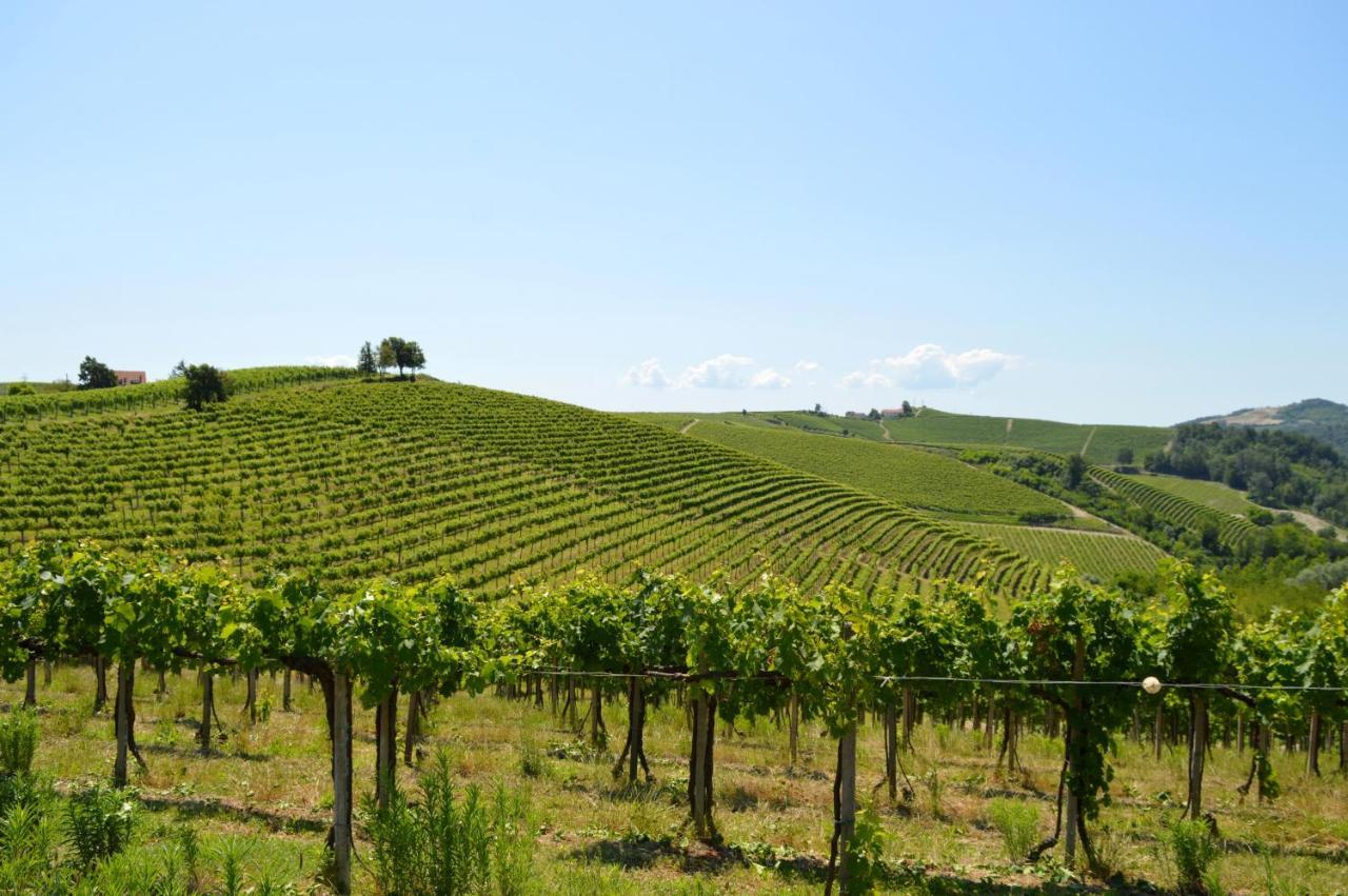 Bed and Breakfast Bed & Tours Dimora Di Campagna Castelnuovo Belbo Экстерьер фото