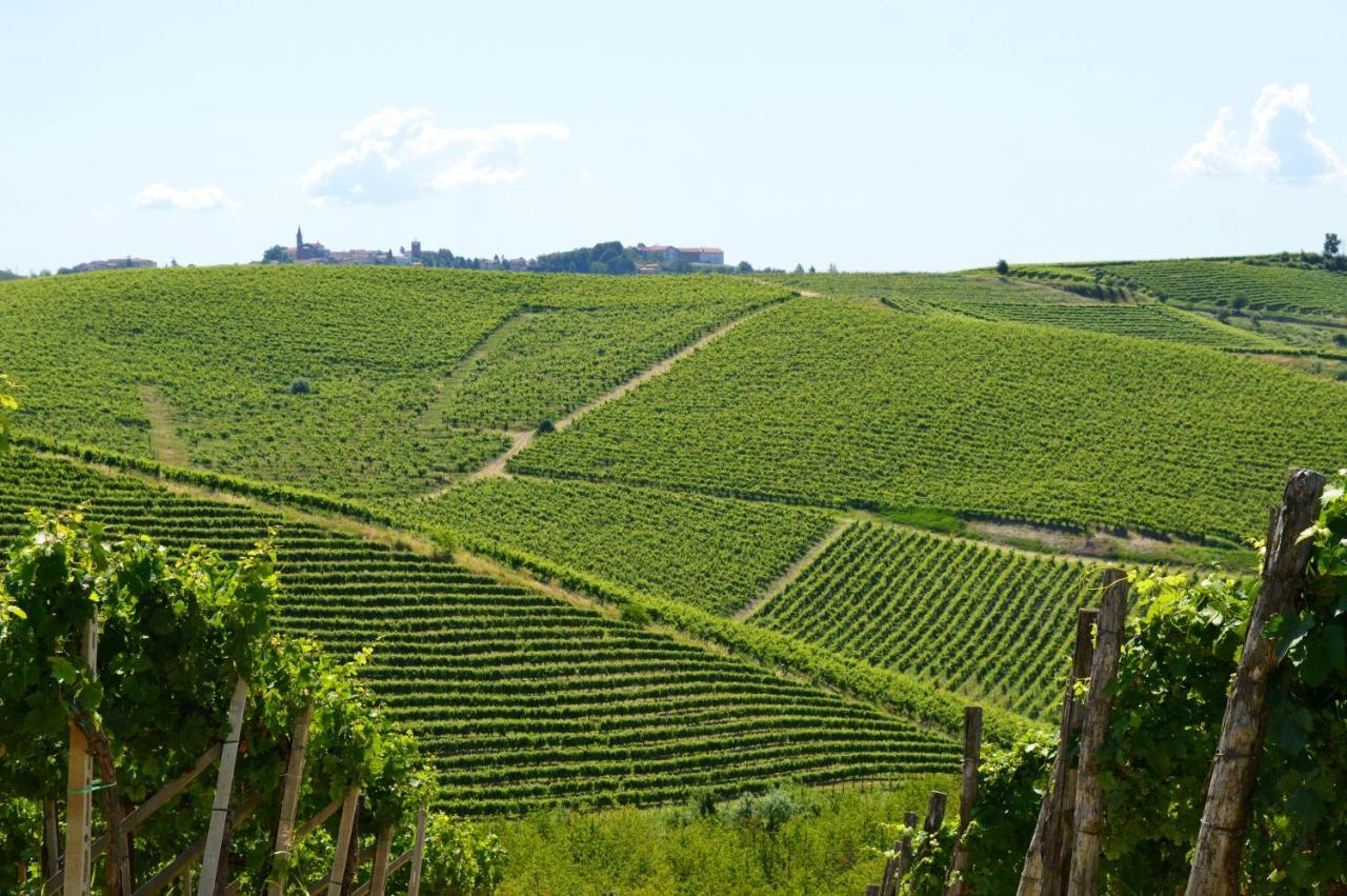 Bed and Breakfast Bed & Tours Dimora Di Campagna Castelnuovo Belbo Экстерьер фото