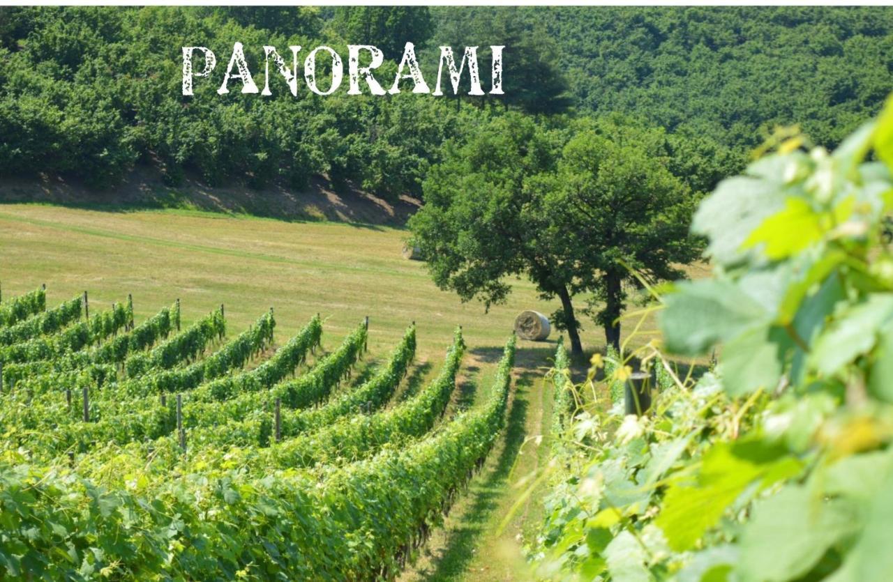Bed and Breakfast Bed & Tours Dimora Di Campagna Castelnuovo Belbo Экстерьер фото