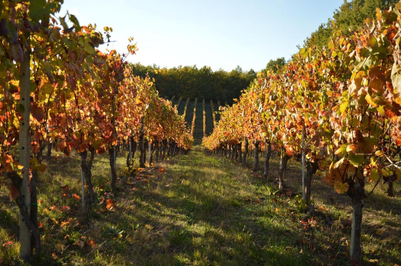 Bed and Breakfast Bed & Tours Dimora Di Campagna Castelnuovo Belbo Экстерьер фото