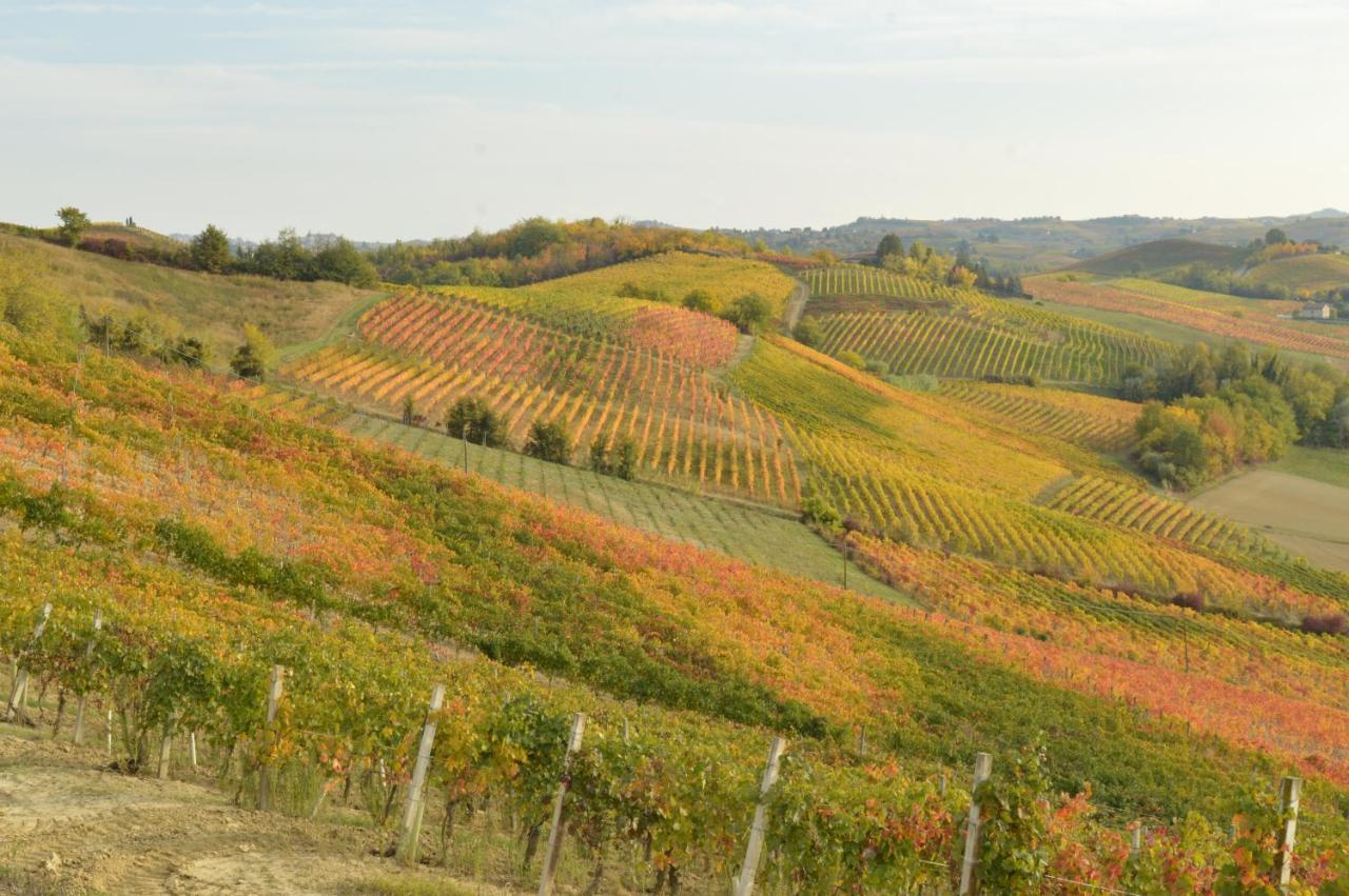 Bed and Breakfast Bed & Tours Dimora Di Campagna Castelnuovo Belbo Экстерьер фото