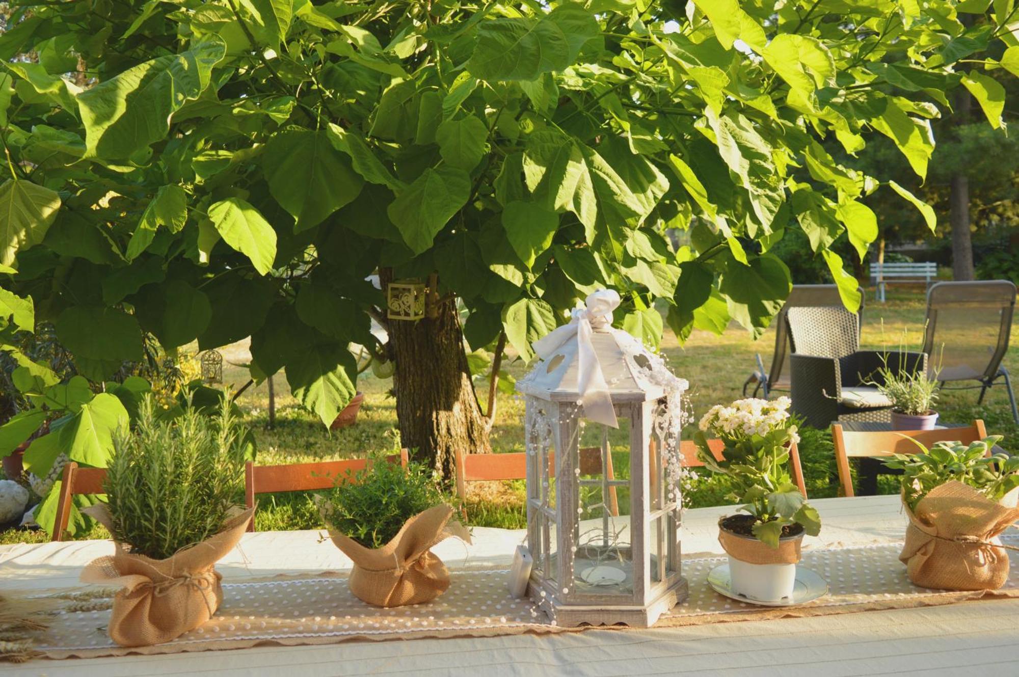 Bed and Breakfast Bed & Tours Dimora Di Campagna Castelnuovo Belbo Экстерьер фото