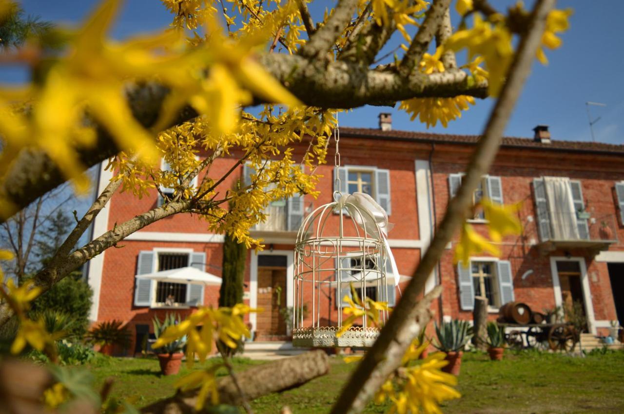 Bed and Breakfast Bed & Tours Dimora Di Campagna Castelnuovo Belbo Экстерьер фото